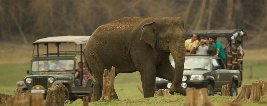 bandipur jeep safari 