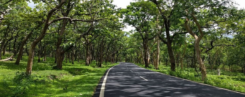 bandipur road