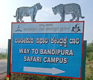 bandipur safari booking website