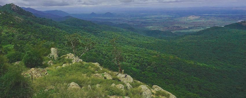 biligirirangan hill